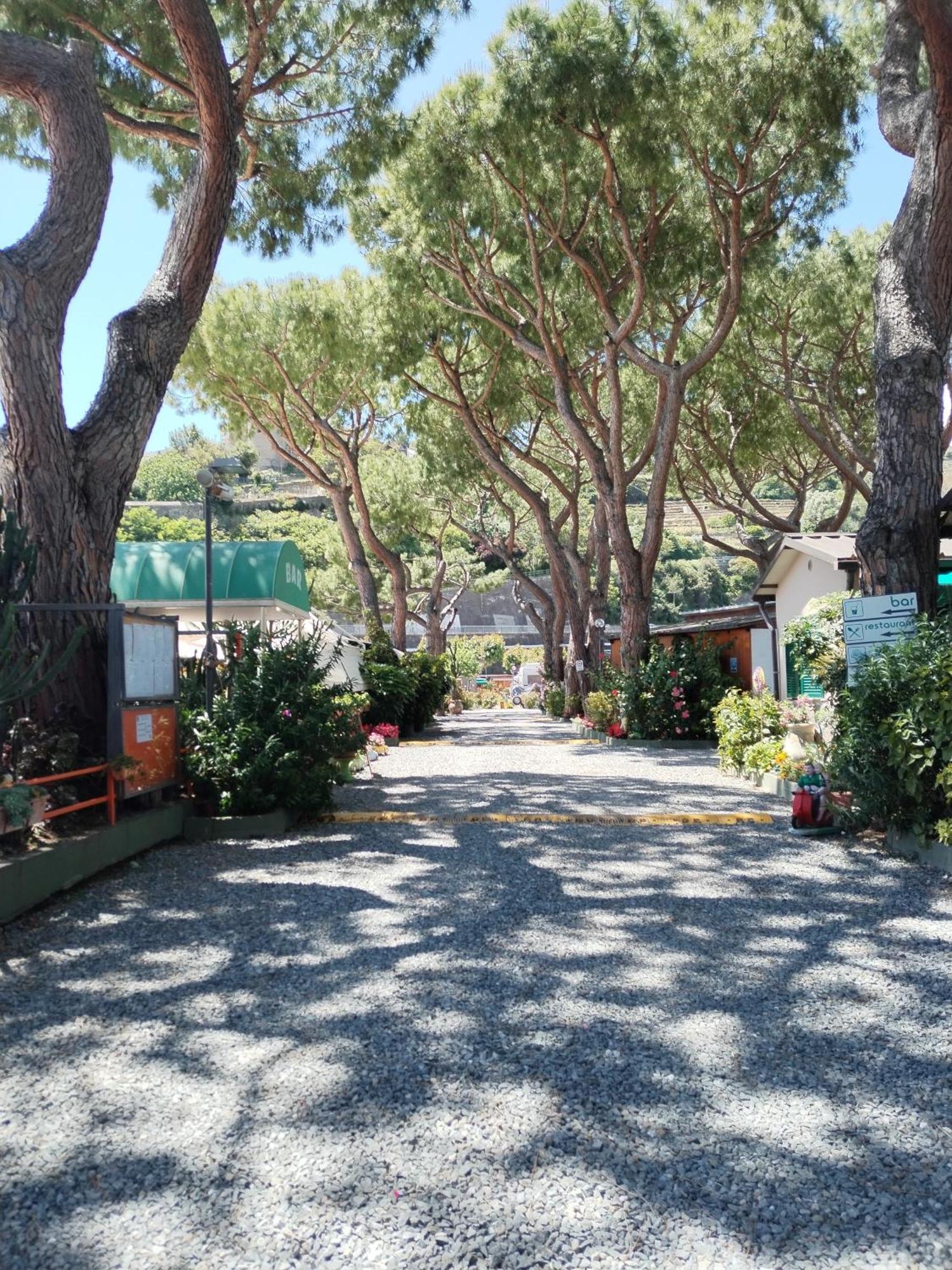 Camping Roma Ventimiglia Exterior foto