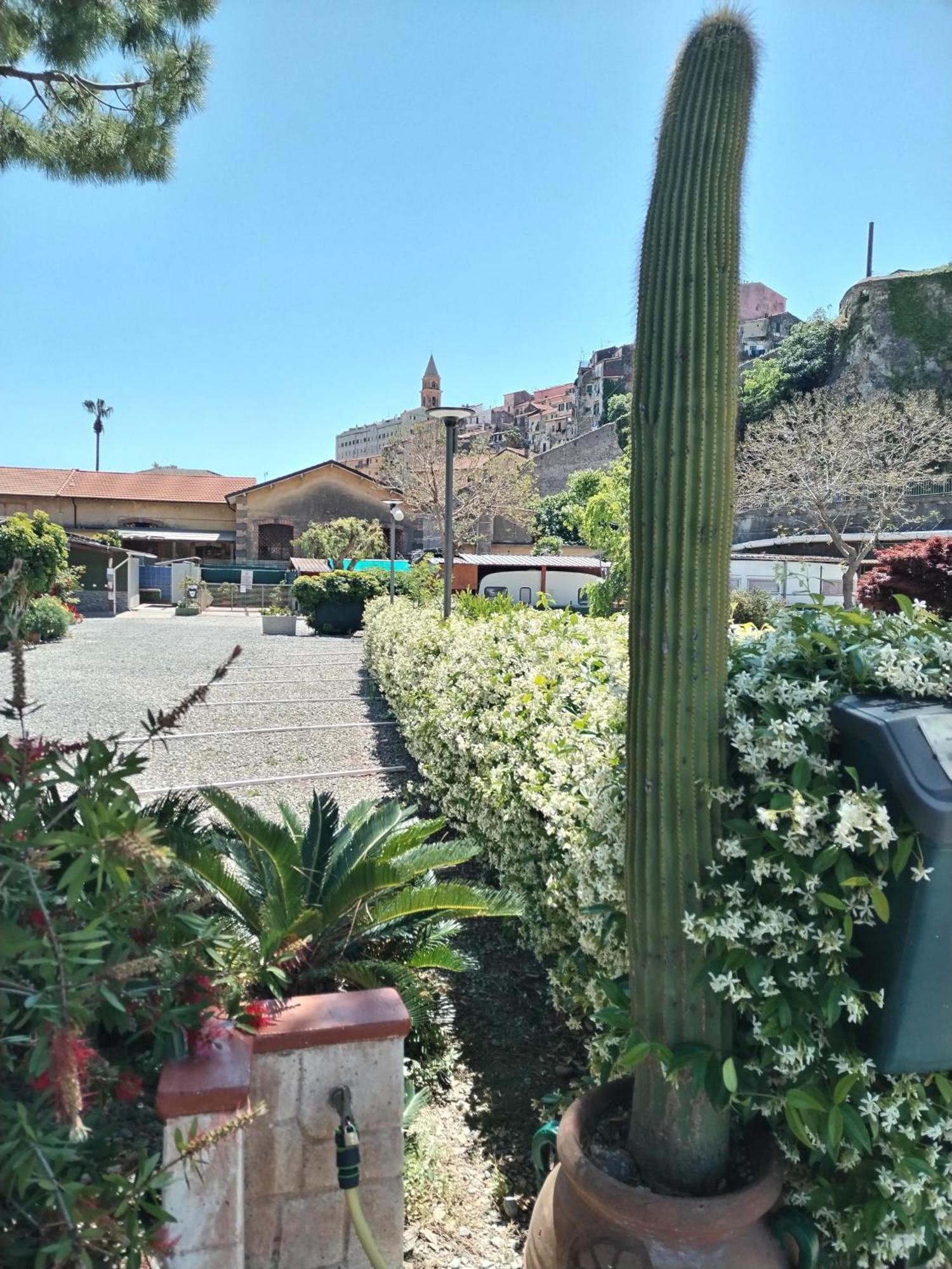Camping Roma Ventimiglia Exterior foto