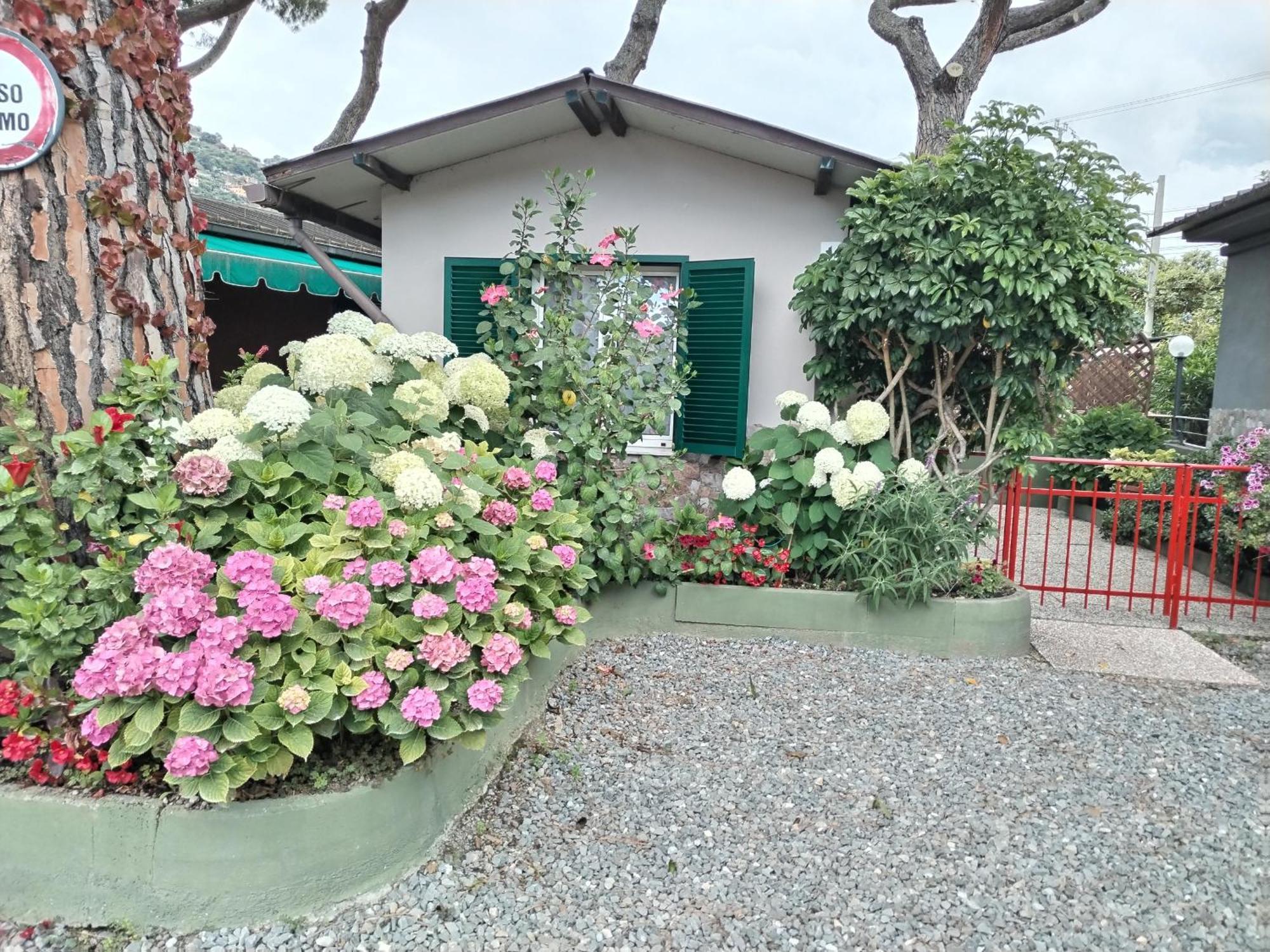 Camping Roma Ventimiglia Exterior foto